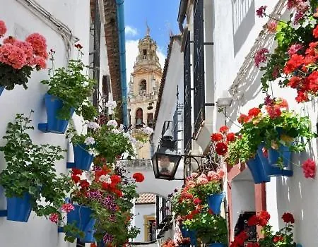 Апартаменты El Patio De Cruz Conde *